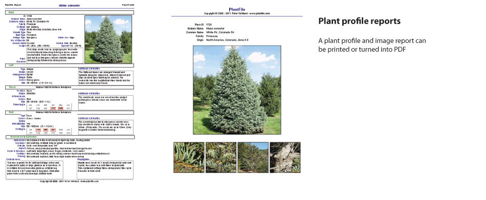 Plant-profile-report.jpg
